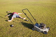 Lawn and Garden Maintenance